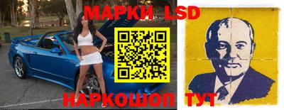 стаф Берёзовский